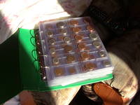 VFL.RU - ваш фотохостинг