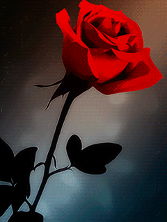 VFL.RU - ��� �����������