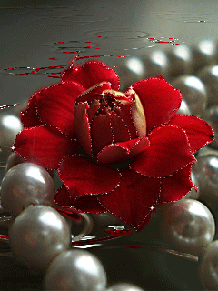 VFL.RU - ��� �����������