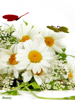 VFL.RU - ��� �����������