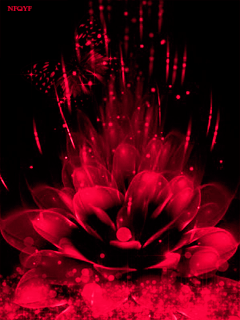 VFL.RU - ��� �����������