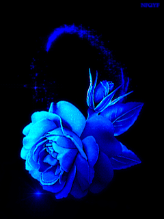 VFL.RU - ��� �����������