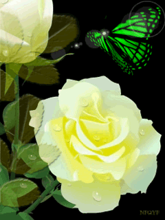VFL.RU - ��� �����������