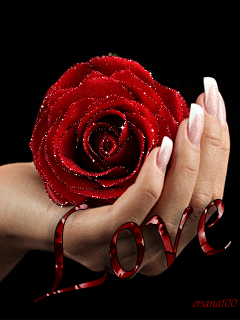 VFL.RU - ��� �����������