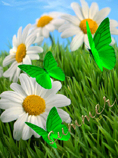 VFL.RU - ��� �����������