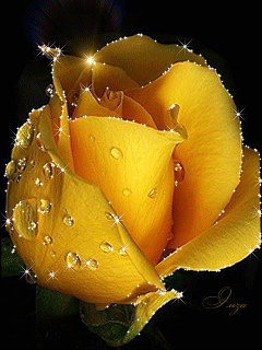 VFL.RU - ��� �����������