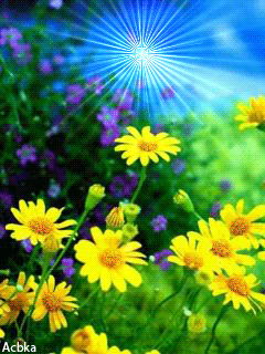 VFL.RU - ��� �����������