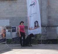 VFL.RU - ваш фотохостинг