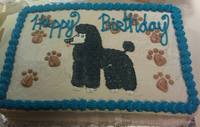 Parti Poodle Cake