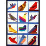 birds