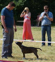 VFL.RU - ваш фотохостинг