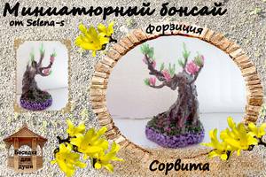 Форзиция