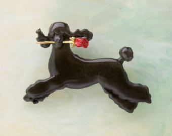 black poodle w rose