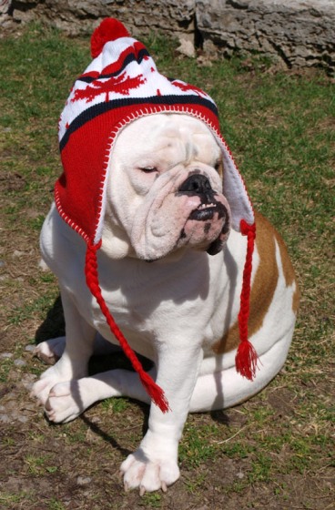Canada-Day- a mne golovu zato ne napehet...