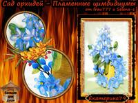http://images.vfl.ru/ii/1404512184/bb95869f/5624922_s.jpg