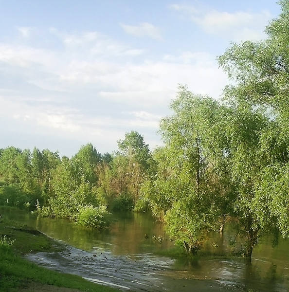 развилка лето