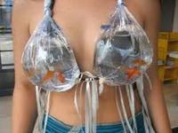 fish-tank-bra