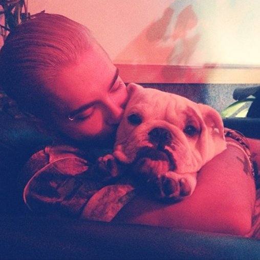 suesse-hunde-die-tiere-der-stars!-bill-kaulitz-4-8i8d-zOLQ