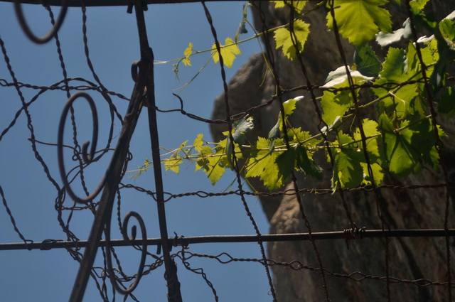 nature2013 m-ro (12 of 61)