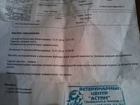 VFL.RU - ваш фотохостинг