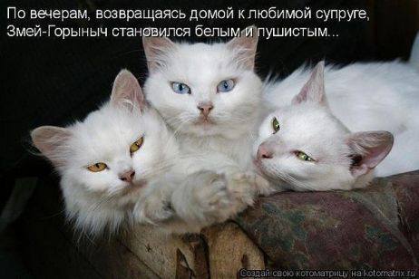 котГорыныч