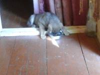 VFL.RU - ваш фотохостинг