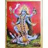 kali5