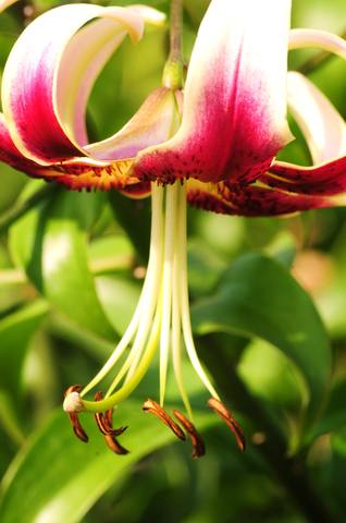 VFL.RU - ��� �����������