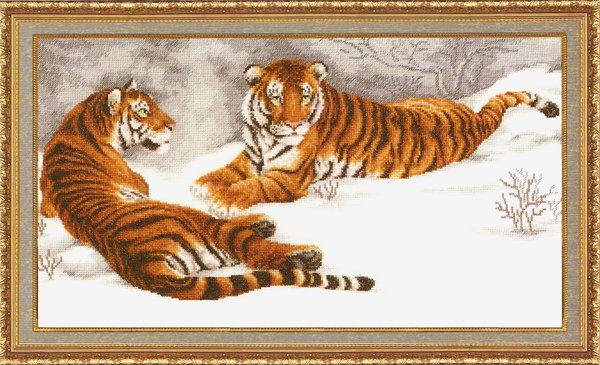 ДЖ-020 Амурские тигры
