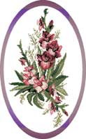 ЦК-006 Гладиолусы