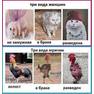 Три вида женщин и мужчин.