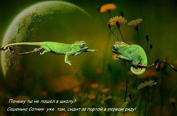 getImageCA0A2796