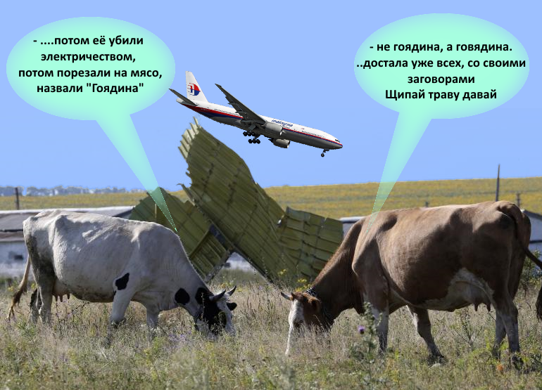 коровы