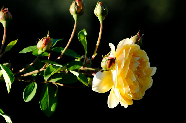 VFL.RU - ��� �����������