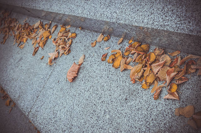 VFL.RU - ��� �����������