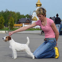 VFL.RU - ваш фотохостинг