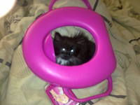 VFL.RU - ваш фотохостинг