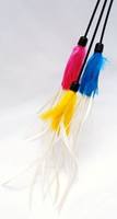 Feather Dancer 2- resize