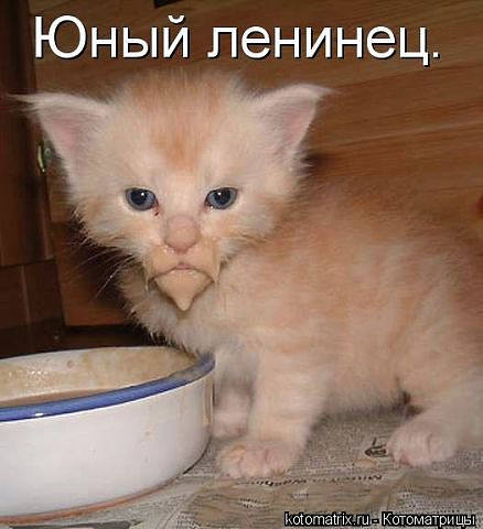 getImage