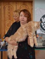 VFL.RU - ваш фотохостинг