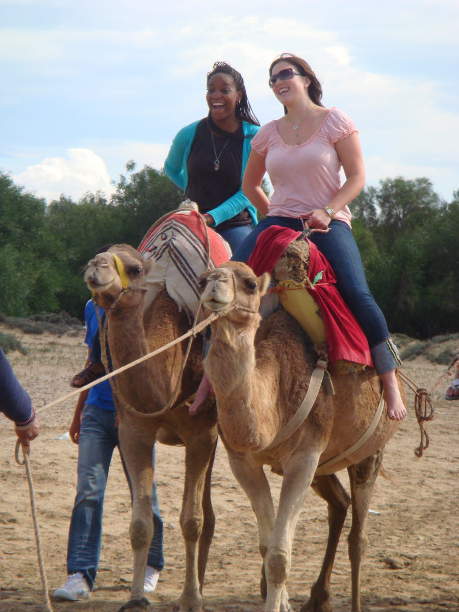 camel06