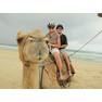 camel08