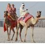 camel Lydia Bright 1