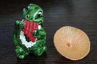 VFL.RU - ваш фотохостинг