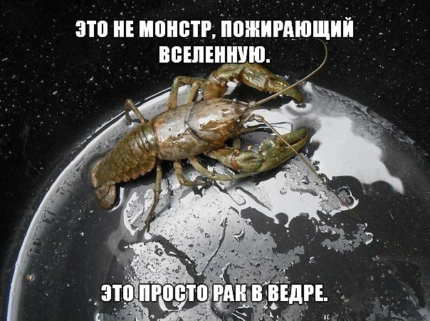 Показалось