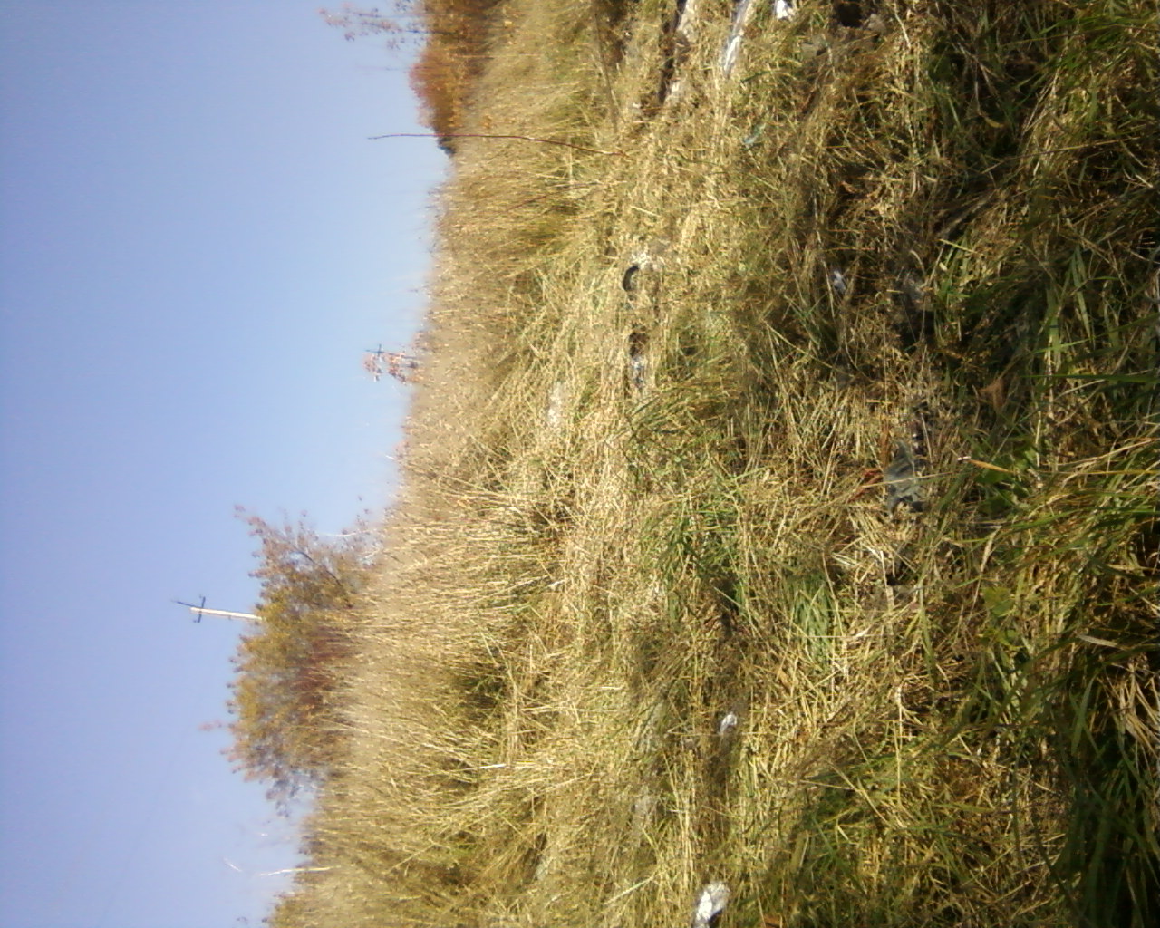 Осенний пейзаж