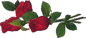 VFL.RU - ��� �����������