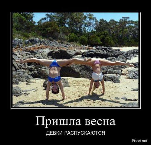 http://images.vfl.ru/ii/1413562612/2e6e5b5b/6673452_m.jpg