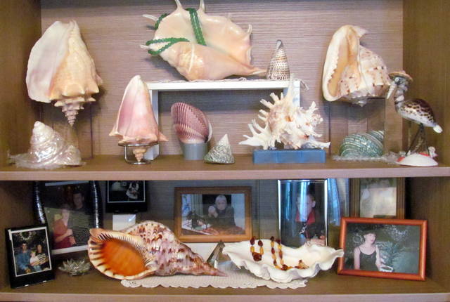 ракушки 2 010