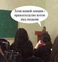 котэ-препод